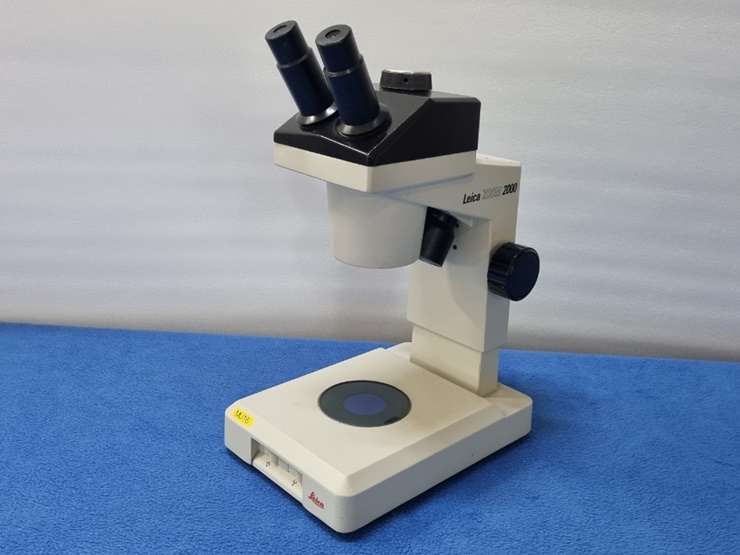 중고 Leica Zoom 2000 Microscope  상하부조명 쌍안 실체현미경 (MU16)