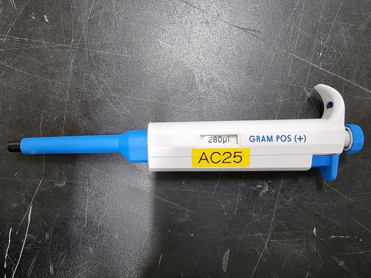 중고 Gram Pos 280&amp;#181;L (AC25)