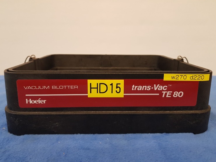 중고 VACUUM BOTTLE Hoefer trans-vac TE 80 (HD15)