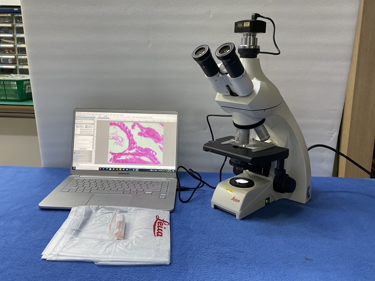 중고 Leica DM500 생물현미경 (MU13)