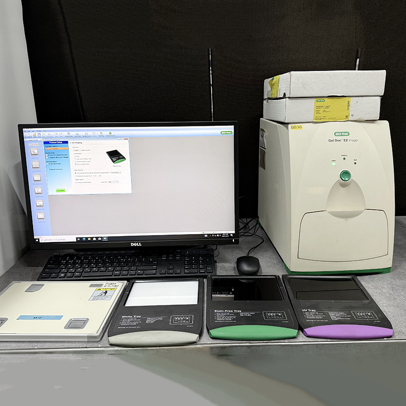 중고 Bio-Rad Gel Doc EZ (BB36)