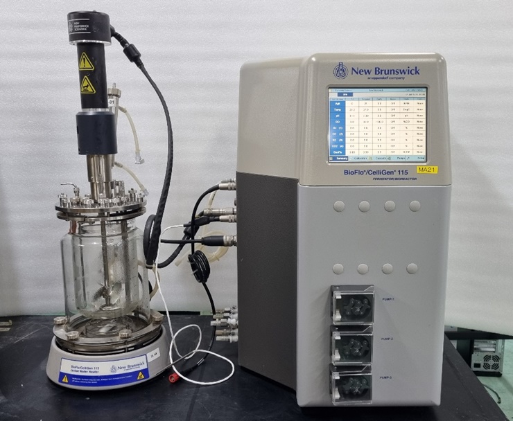중고 New Brunswick BioFlo 115 벤치 탑 발효기 및 생물 반응기 (MA21)