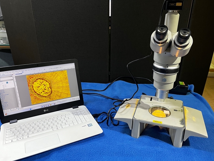 중고 NIKON SMZ-10 삼안 실체현미경, 하부조명 (SB03)