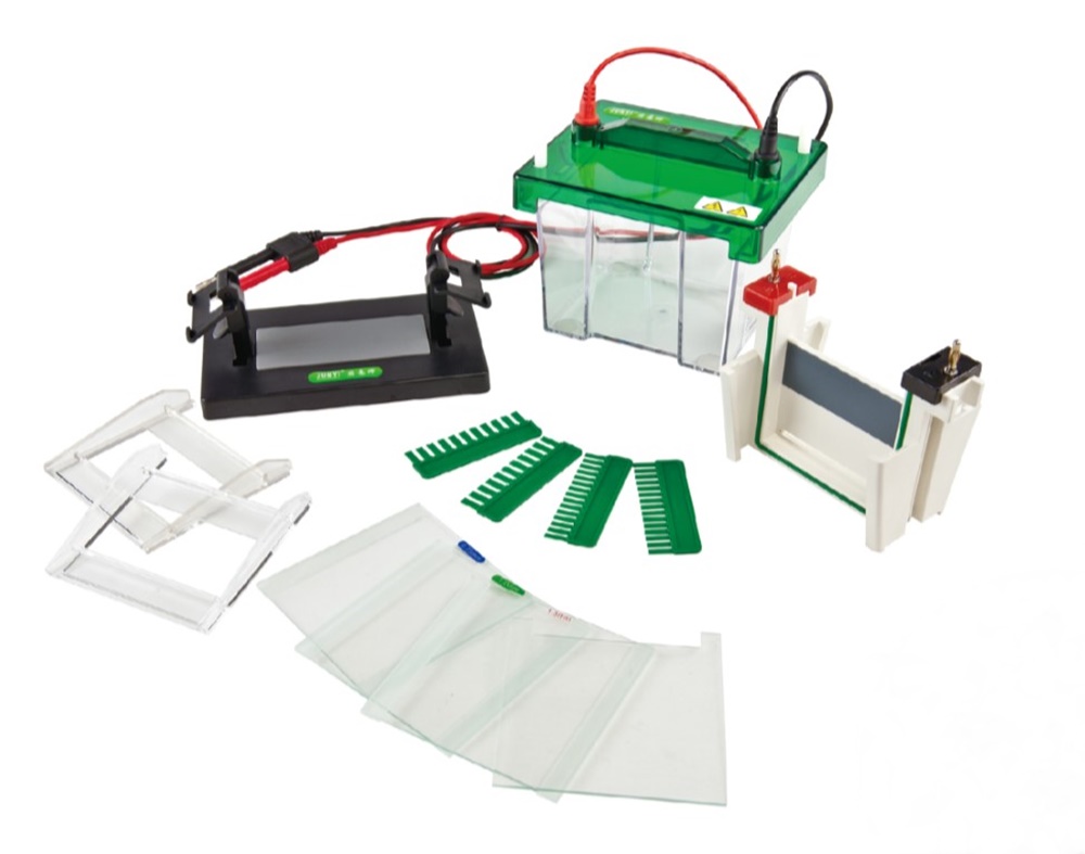 중고 수직형 전기 영동 장치 / BK-SCZ2+ / Gel area : 82x88 / Buffer : 750 / No. sample : 11~30