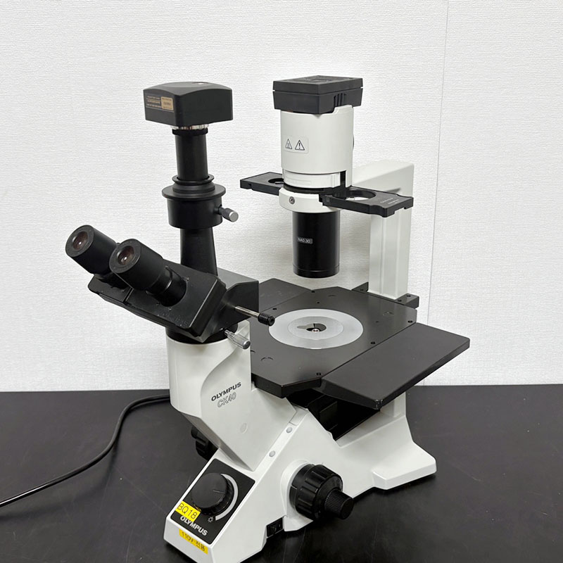 중고 올림푸스 도립 위상차 현미경 CK40 (BQ18)