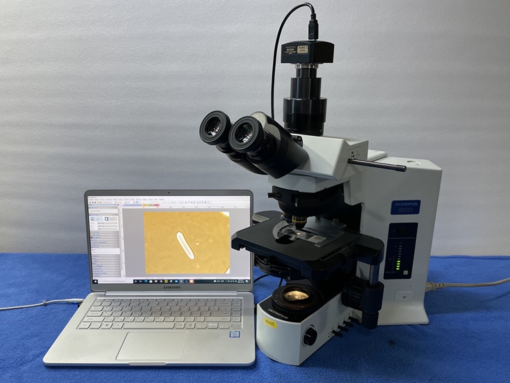 중고 올림푸스 위상차 현미경 BX51 (KK65)