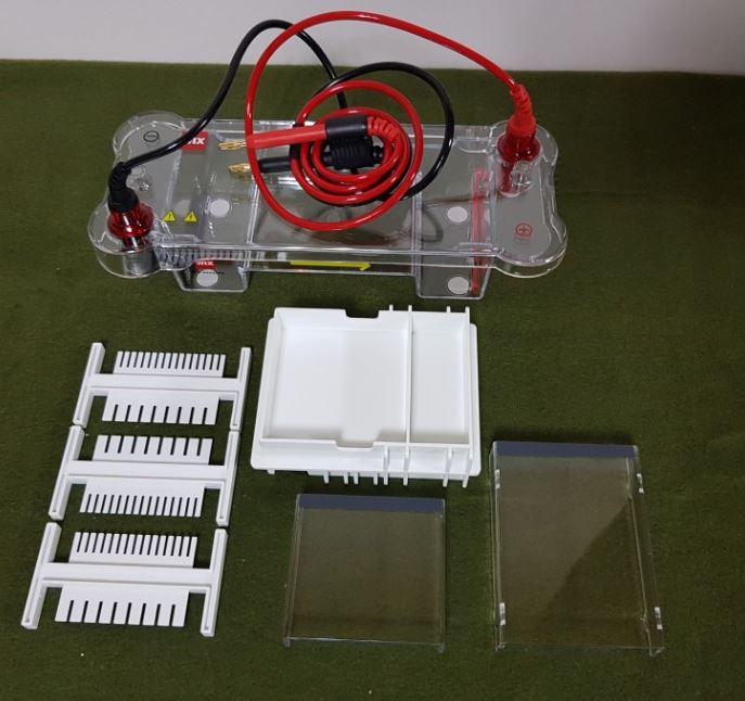 중고 수평식 전기영동 장치 Mini type(신품)