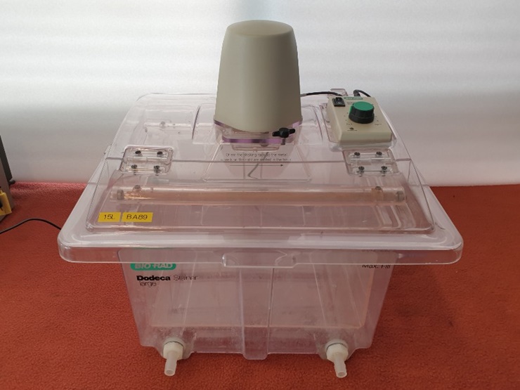 중고 Bio-rad Dodeca Gel Stainer large 15L 염색기 (BA89)