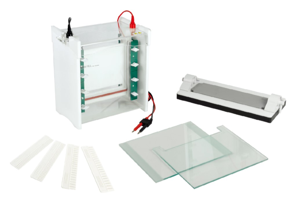 중고 수직형 전기 영동 장치 / BK-SCZ6+ / Gel area : 162x175 / Buffer : 4000 / No. sample : 21~70