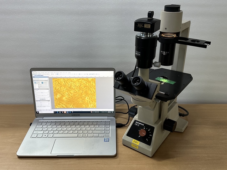 중고 올림푸스 CK2 도립 위상차 현미경 (ZH81)