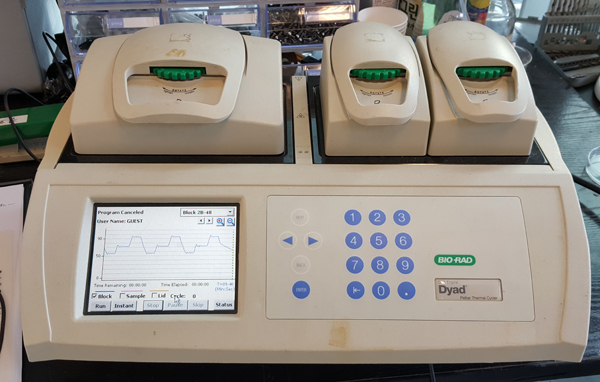 중고 Multi Channel type PCR Biorad ADL1233