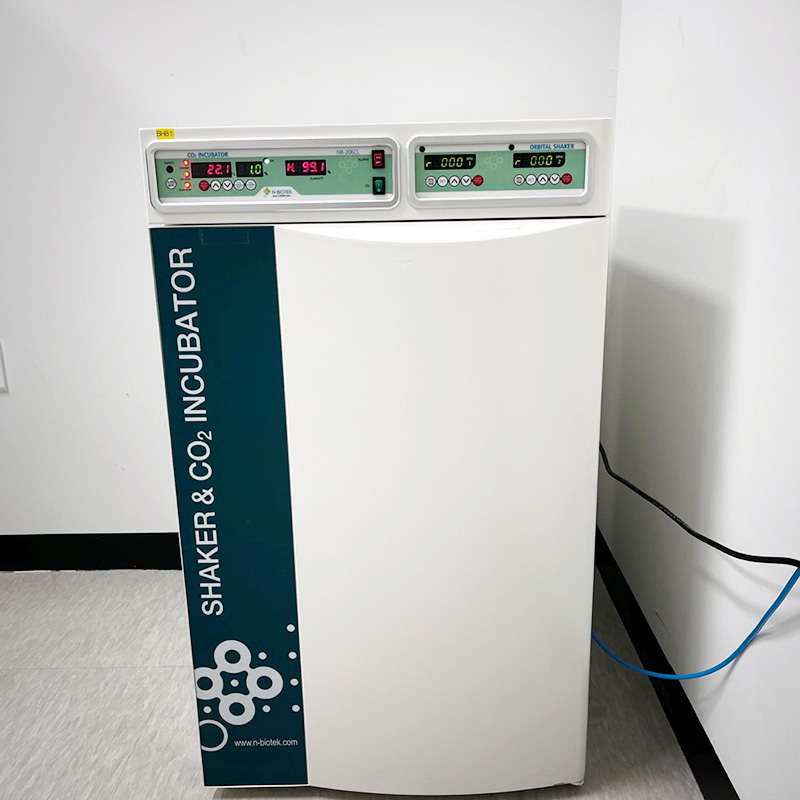 중고 N-BIOTEK NB-206CL 쉐이커가 내장된 CO₂ 배양기 (BH81)