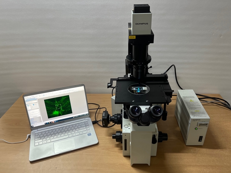중고 Olympus IX50 도립 형광 현미경 IX50-S8F2 (ZZ09)