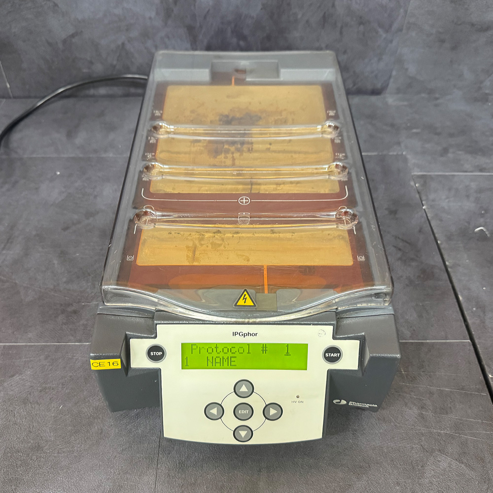 중고 Pharmacia Biotech IPGphor 전기영동 (CE16)