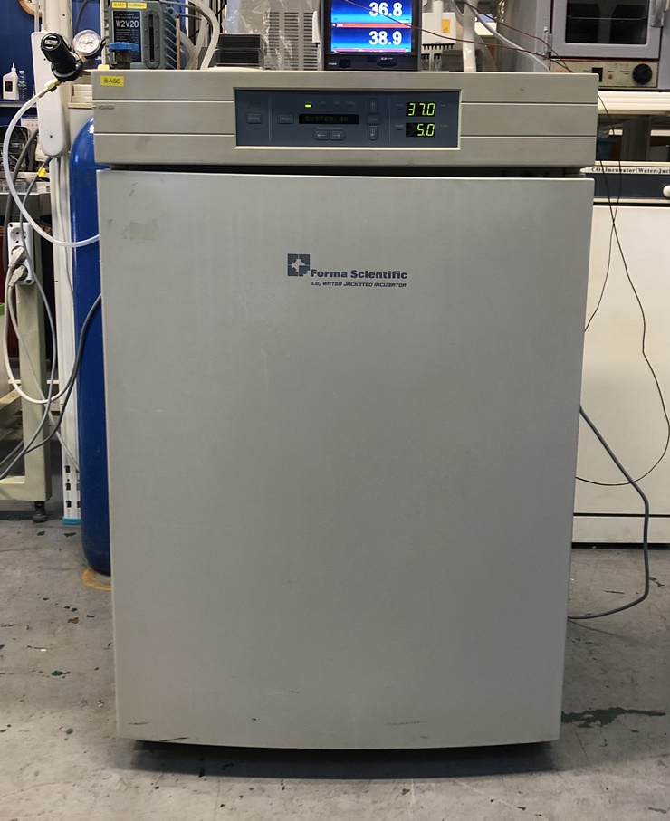 중고 Thermo Forma 3111 CO2 Incubator (BA66)