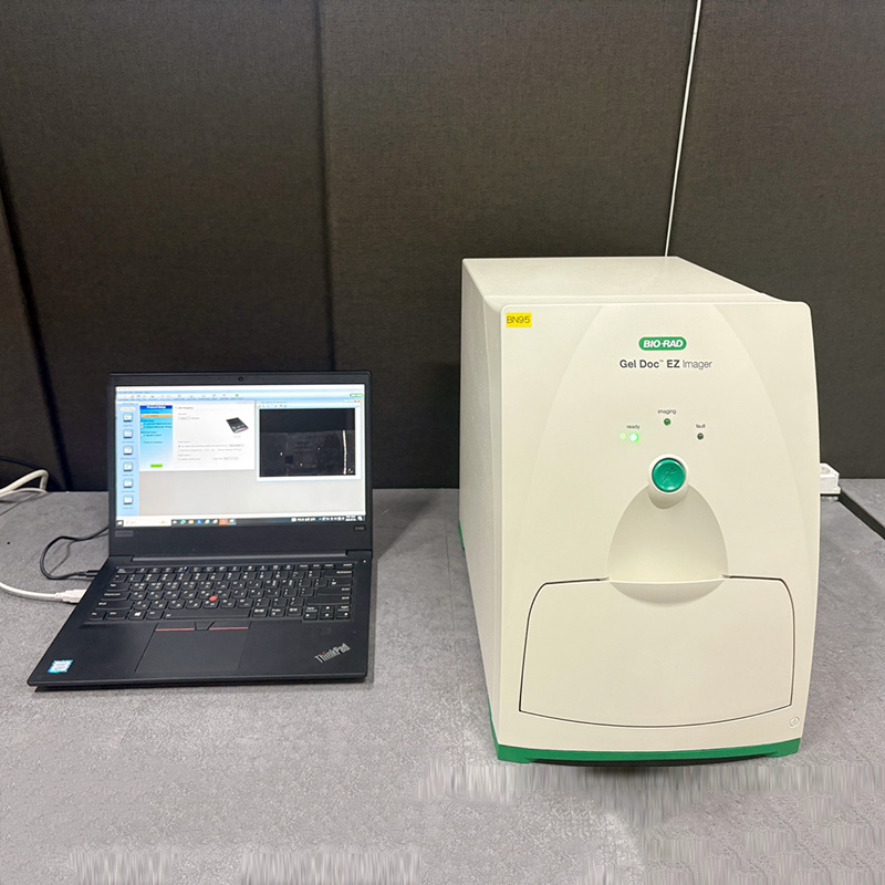 중고 Bio-Rad Gel Doc EZ (BN95)