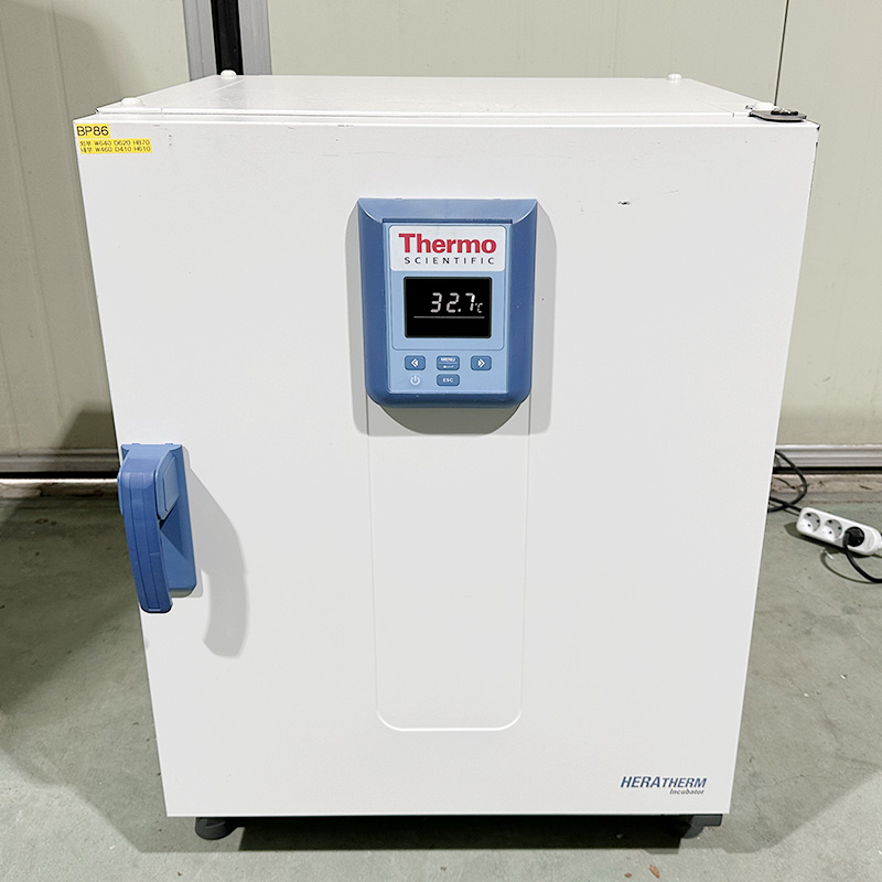 중고 Thermo Heratherm IGS100 General Protocol Microbiological Incubator 117L (BP86)