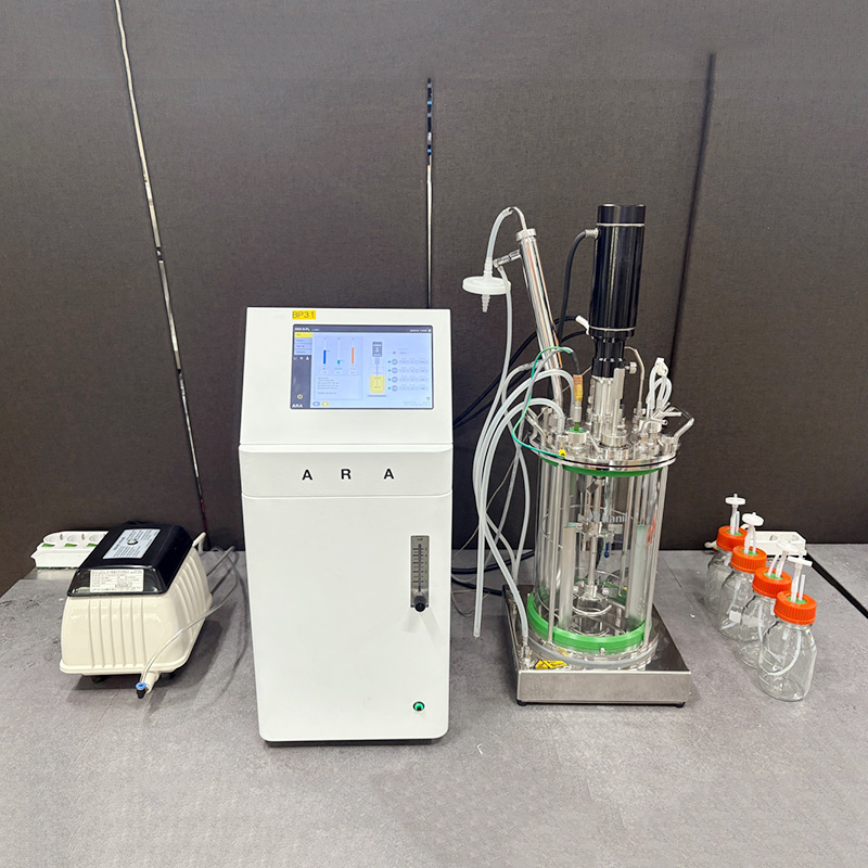 중고 Hanil G-FL Laboratory Fermentor 시스템 (BP31)