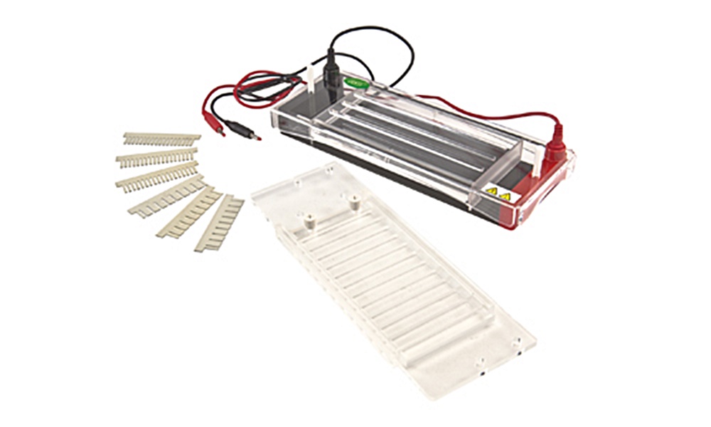 중고 수평형 전기 영동 장치 / BK-SP3 / Gel area : 80x200 / Buffer : 50 / No. sample : 10~216