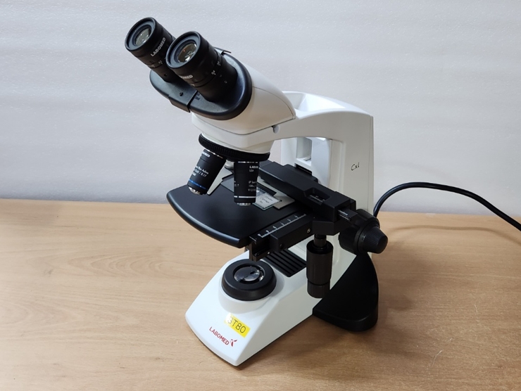 중고 Labomed CxL 쌍안 현미경 (ST80)