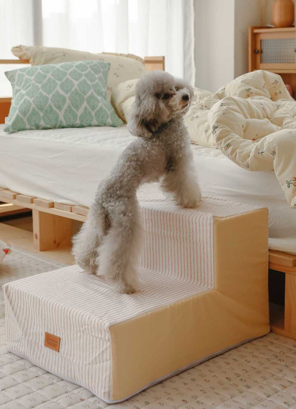 Pet stripe Okseupodeu dog Gyedan 2-tier3-tier