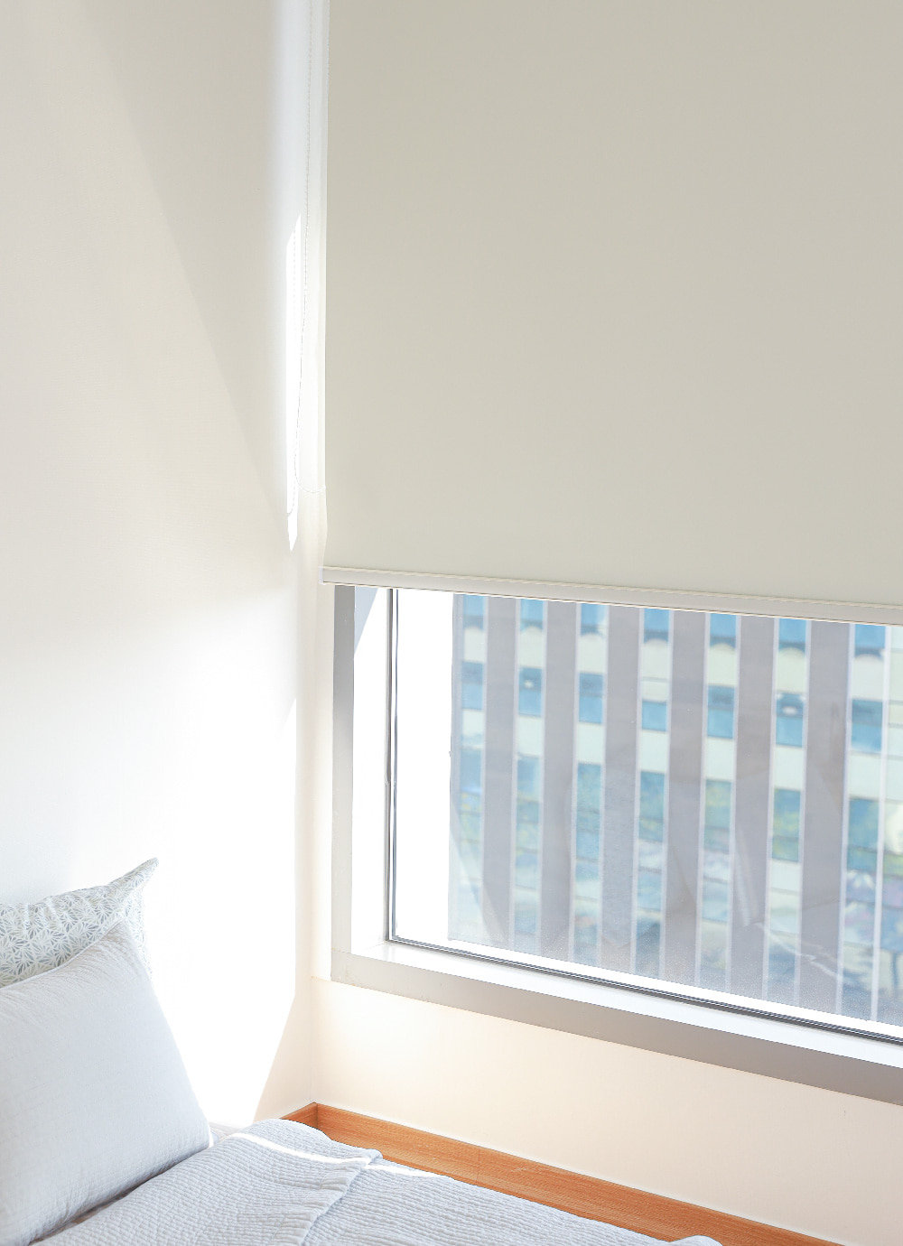 Roll screen plain Blackout Blind