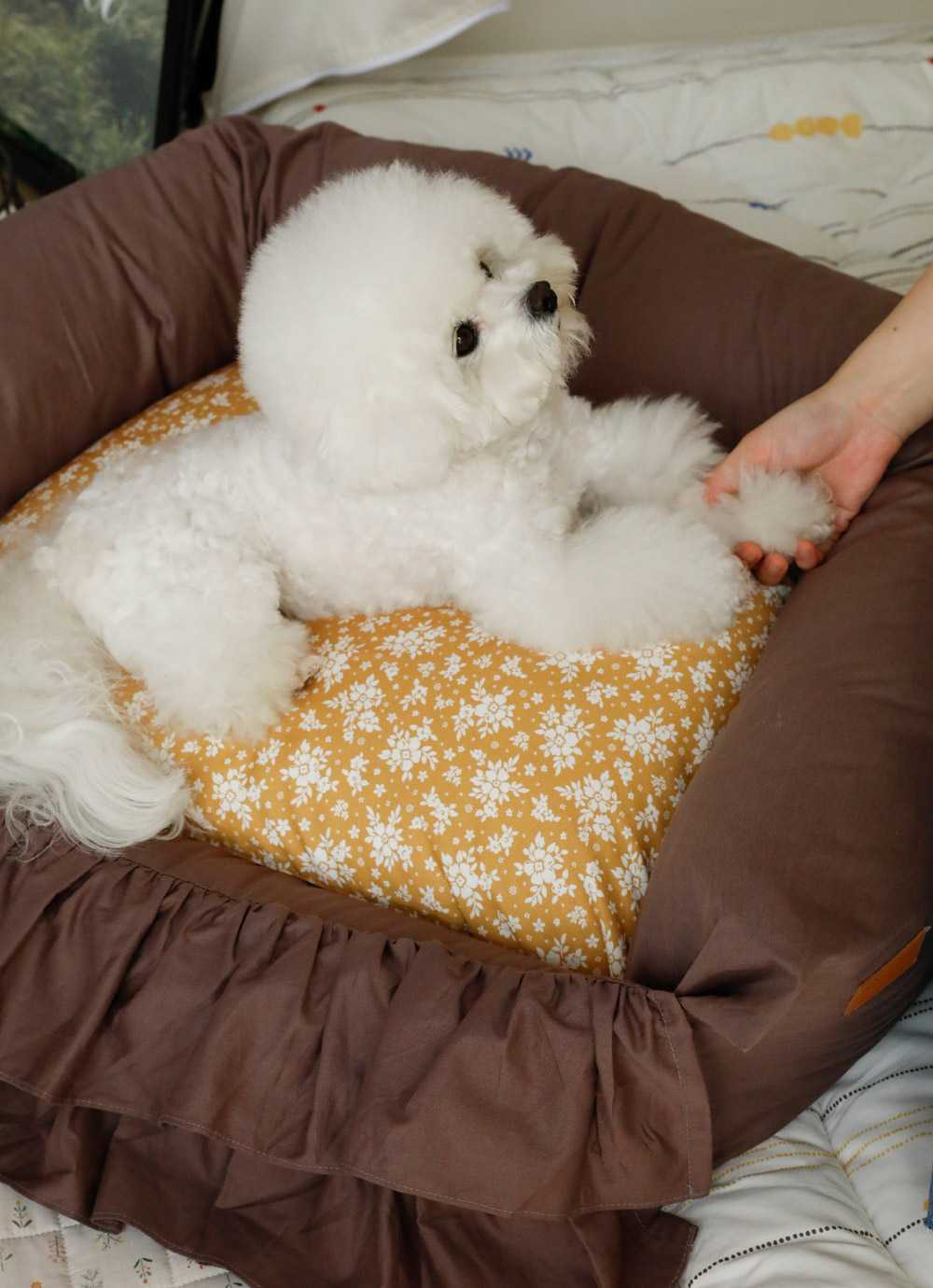 Pet Somsom Frill Pure Cotton removable cover bumper Dog Bed L