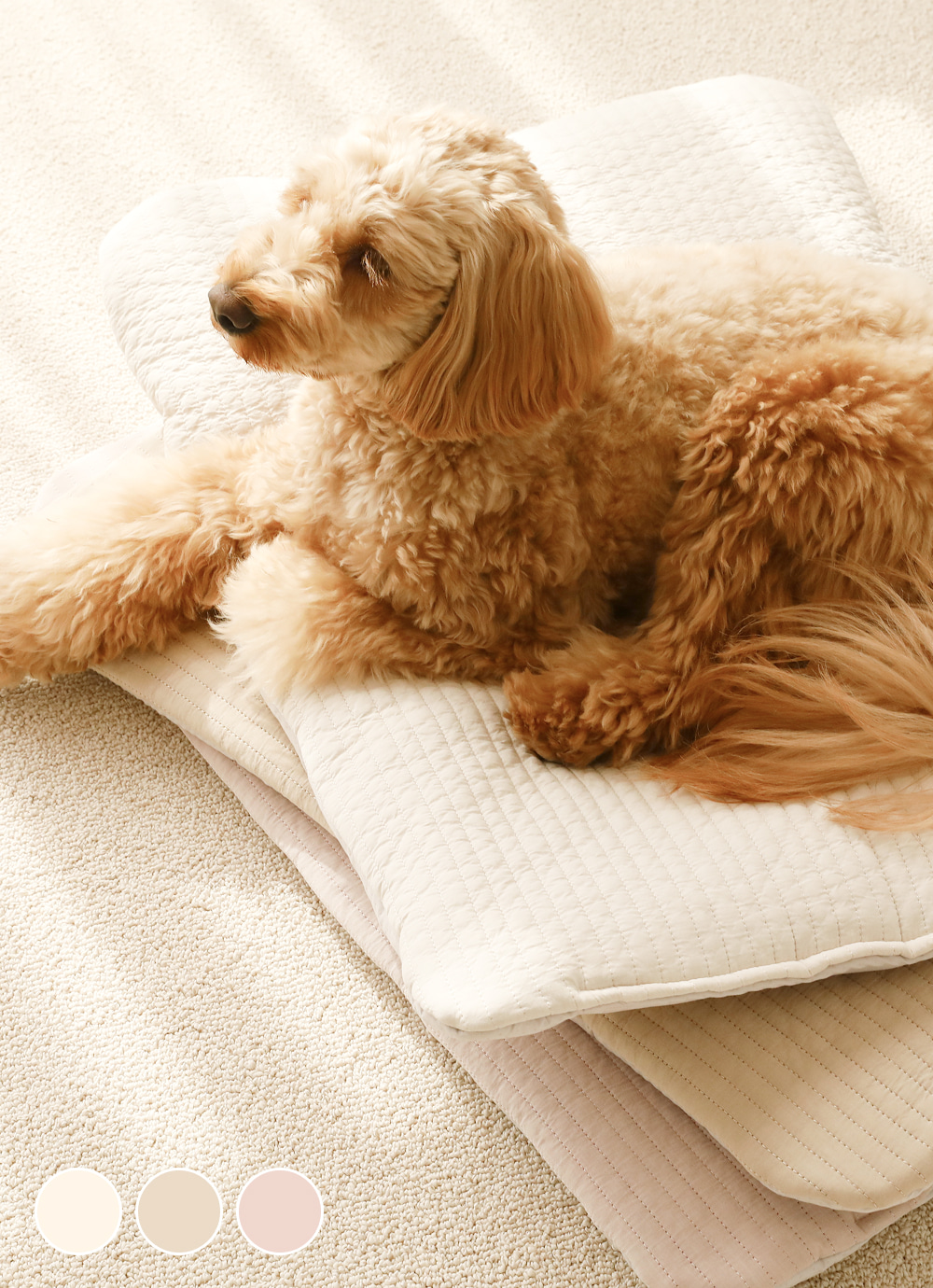 Pigment 60-count cotton pet Seat Cushion 3colors