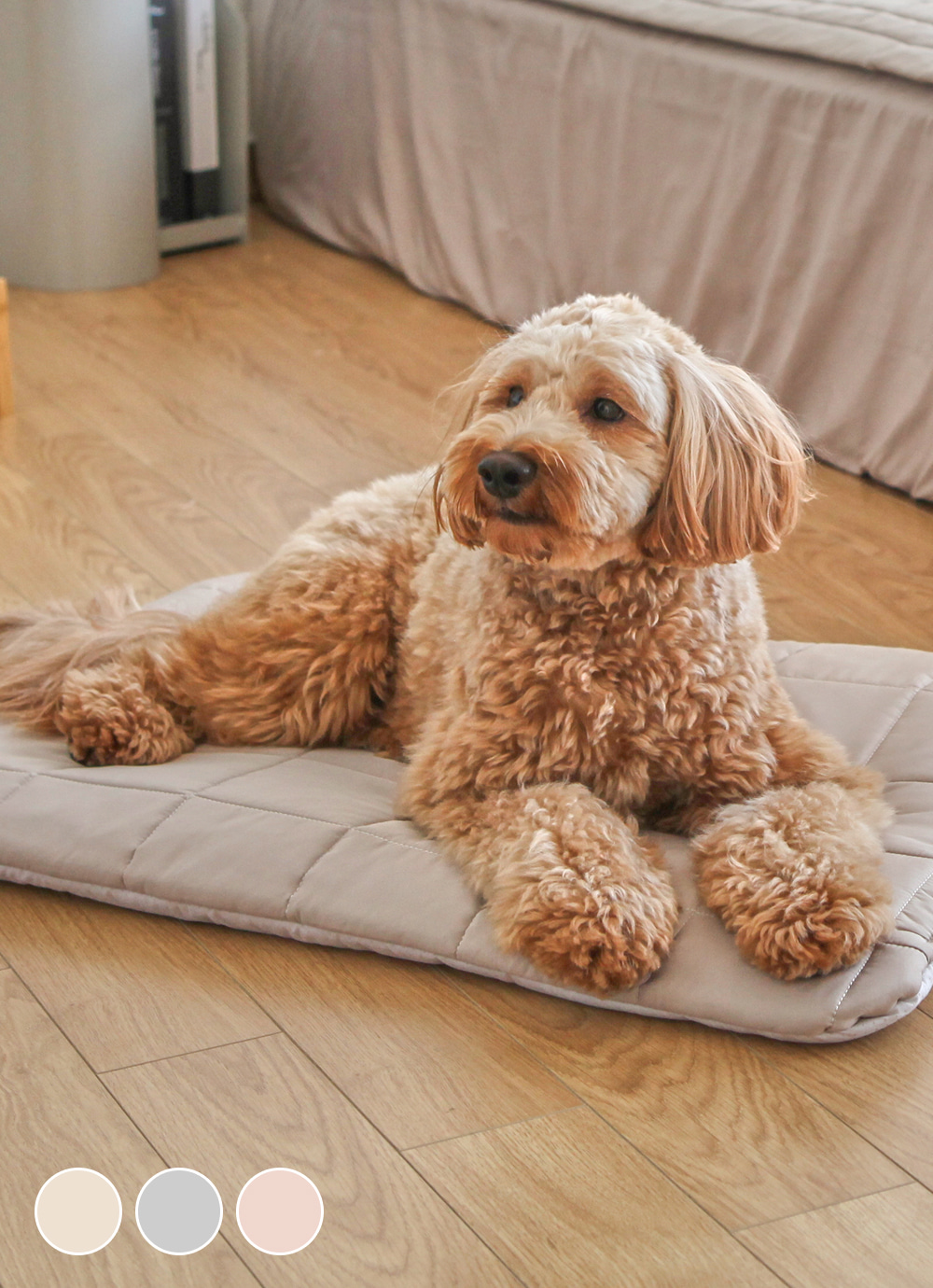 Dreamwell Allergy-care Teol inside Butneun pet Seat Cushion 3colors