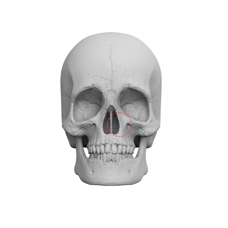 Nose Shape Correction