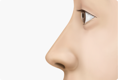Nose Shape Correction