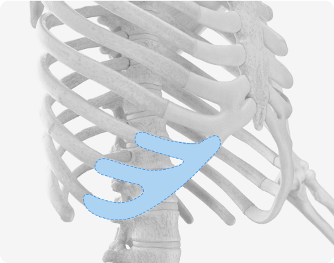 Functional Rhinoplasty