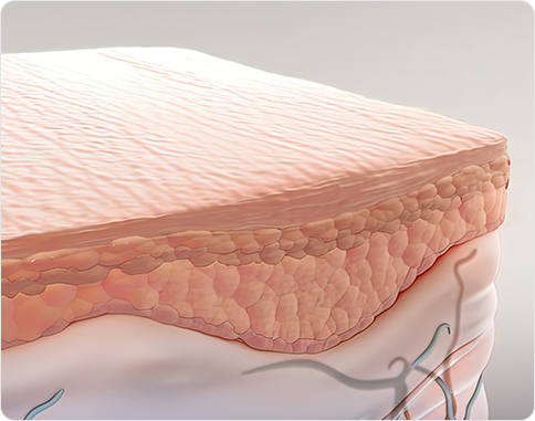 Functional Rhinoplasty