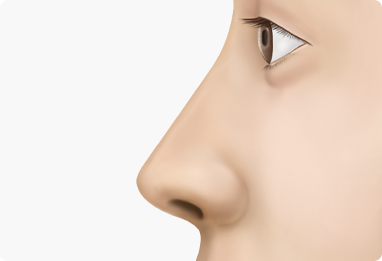 Nose Shape Correction