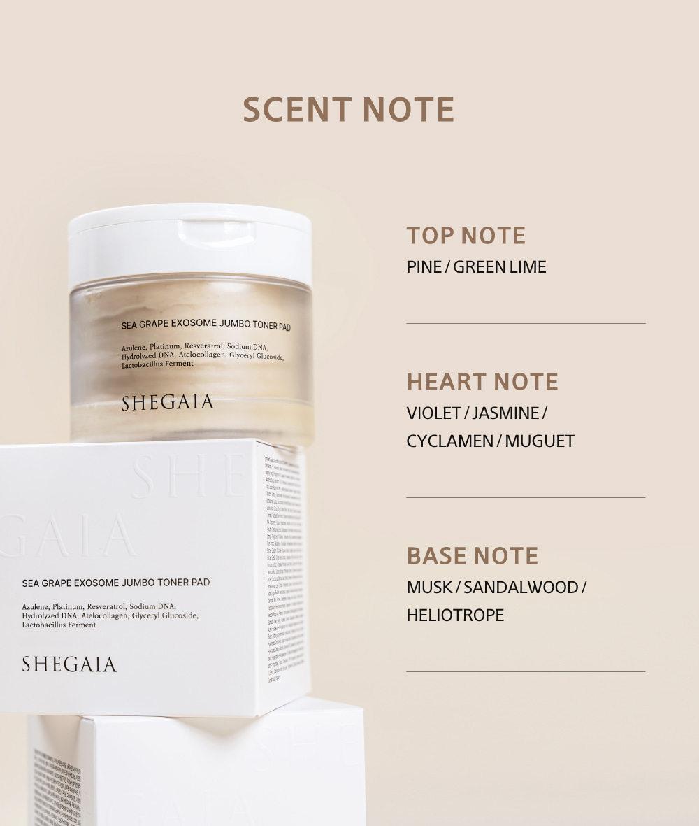 Shegaia] Sea Grape Exosome Jumbo Toner Pad - Gyeol by Kaleidcia