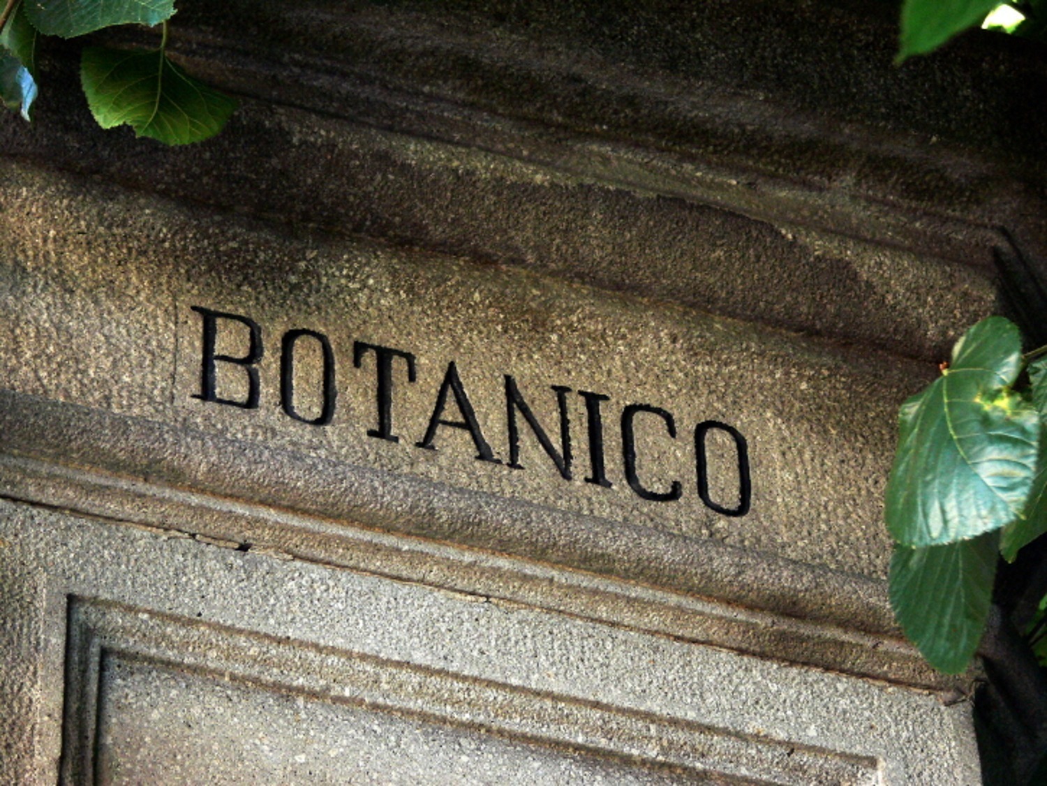 23&#039;FW Preview #Orto Botanica