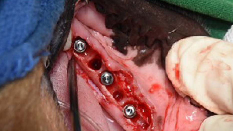 Step 8