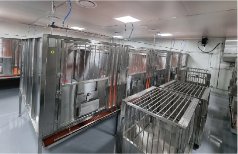 Mini-Pig Housing Room