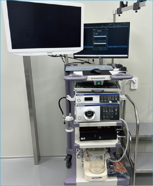 Endoscope