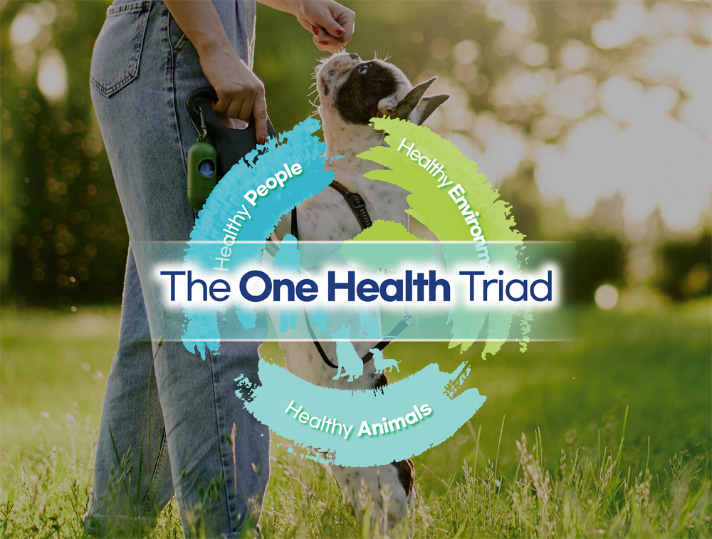 The One Health Triad