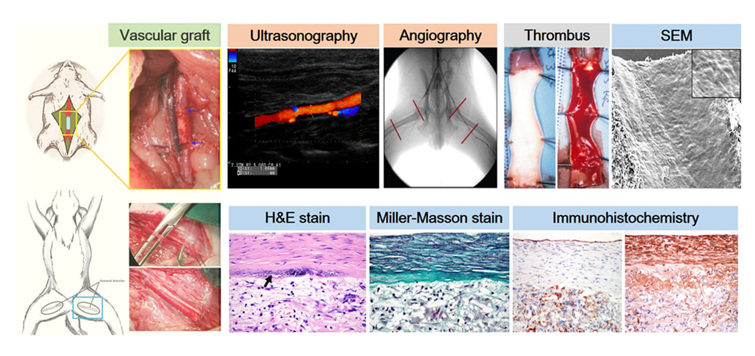 Case study images