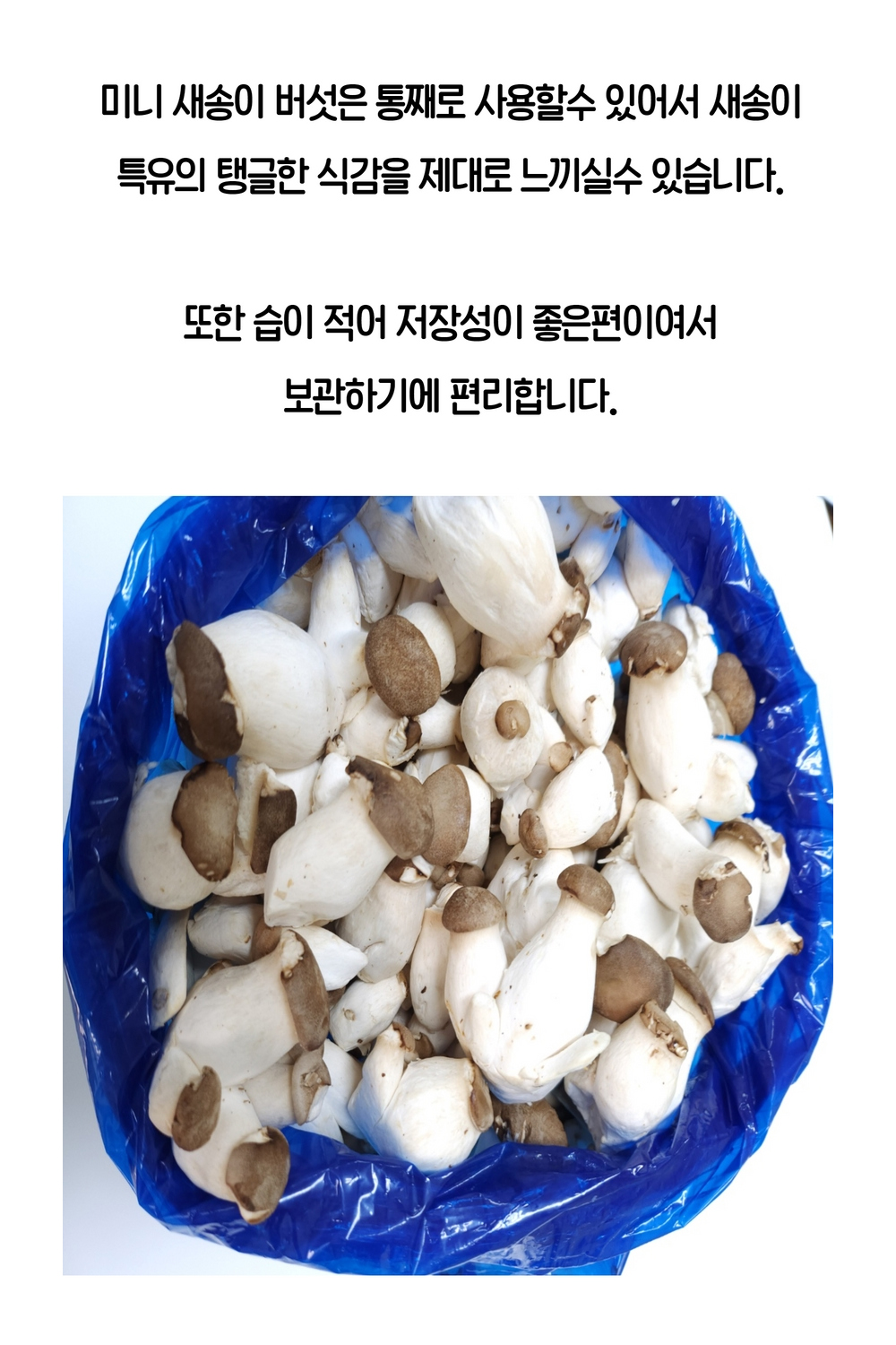 악세사리 화이트 색상 이미지-S2L8