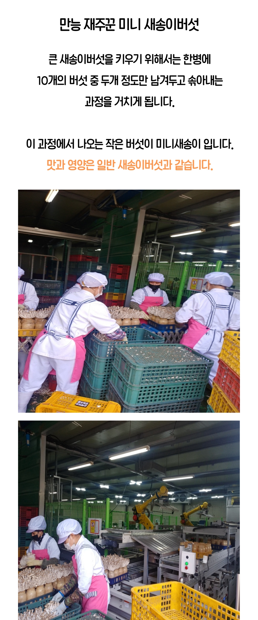 악세사리 모델 착용 이미지-S2L6