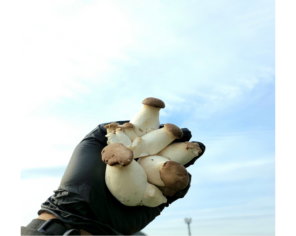 악세사리 모델 착용 이미지-S2L1