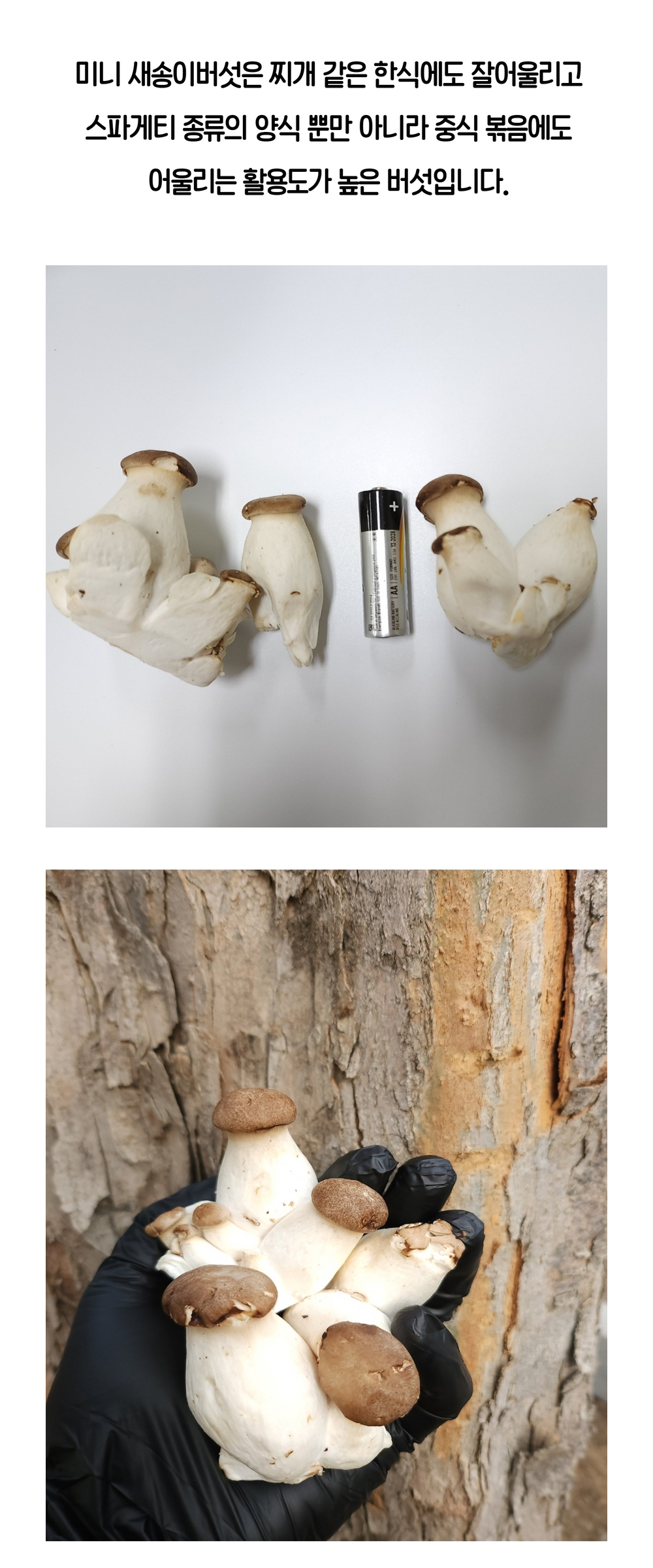 악세사리 모델 착용 이미지-S2L7