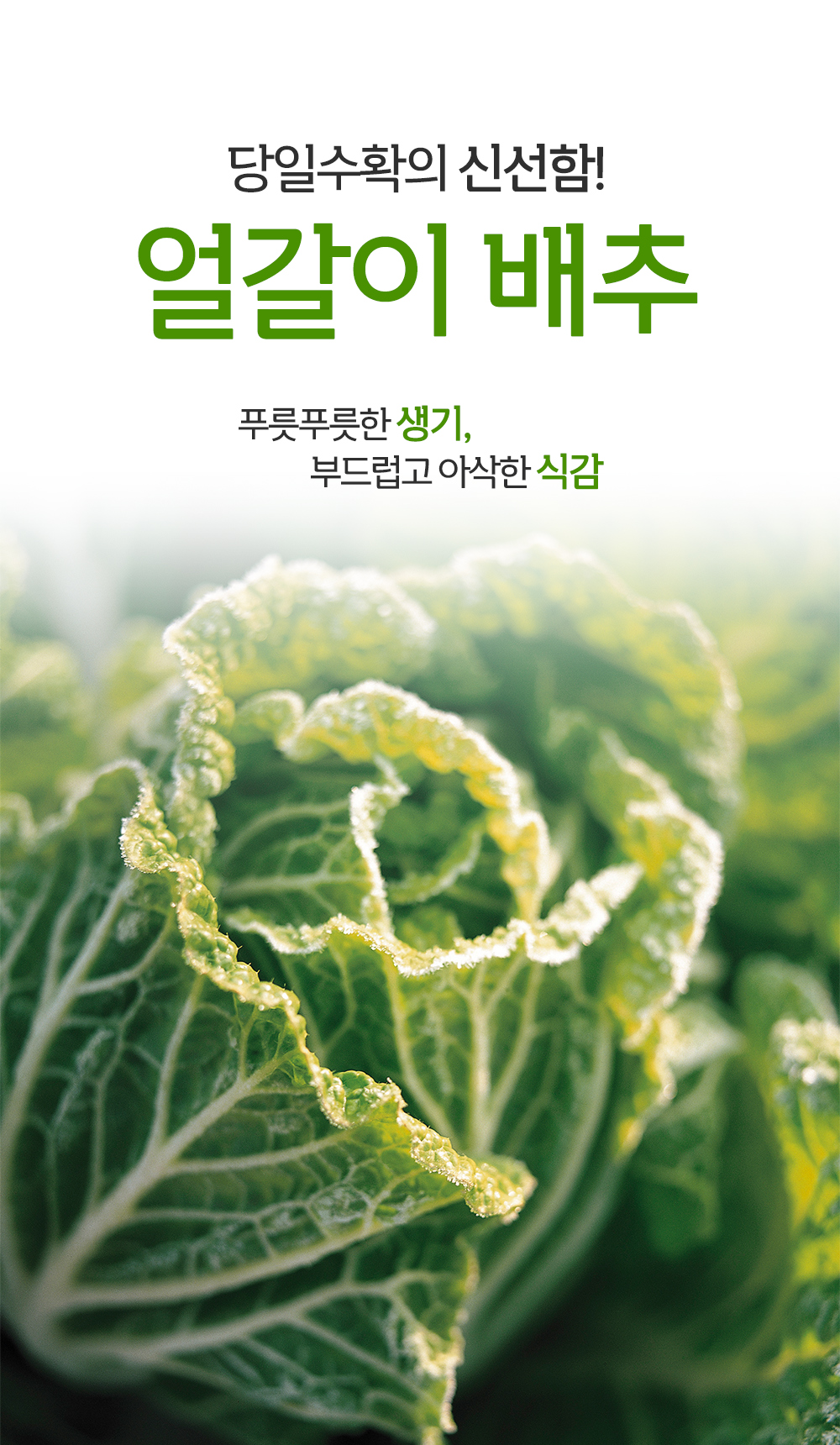 악세사리 상품상세 이미지-S3L3