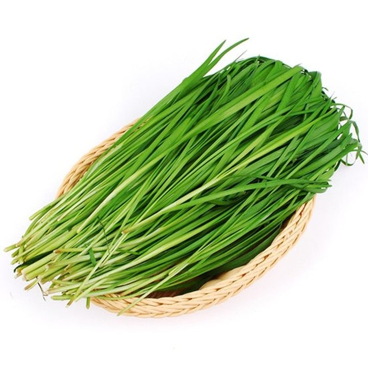 텃밭 부추 반단 (100g)