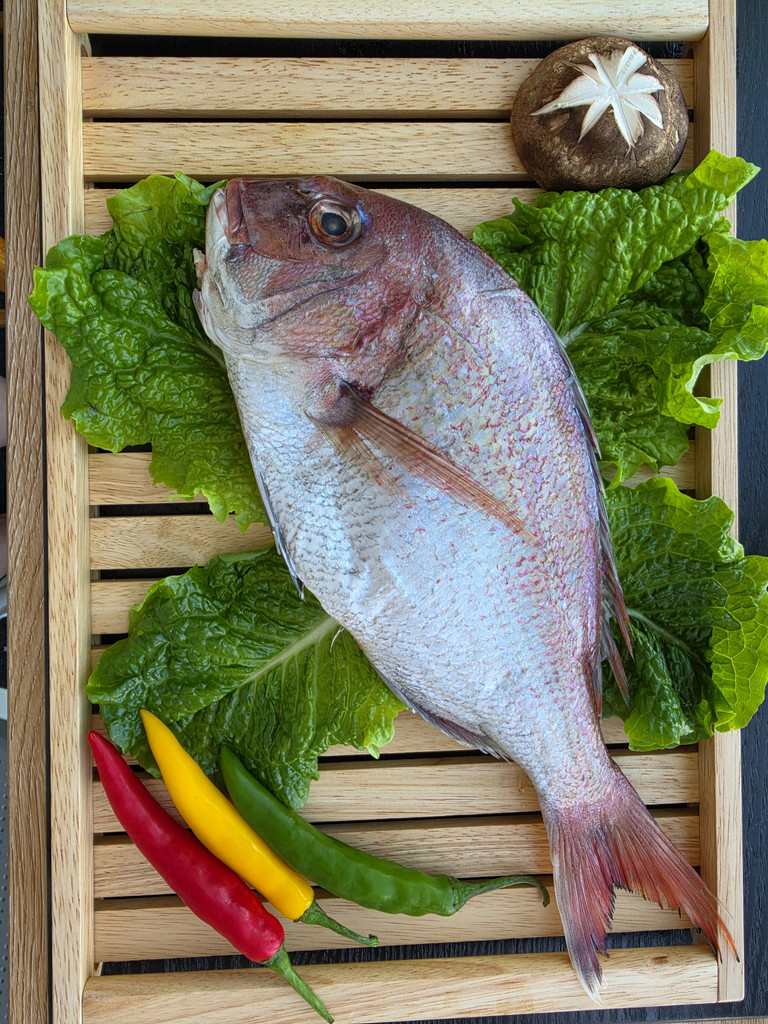 참돔 250g이상 (한마리씩 진공포장, 2팩이 기본)