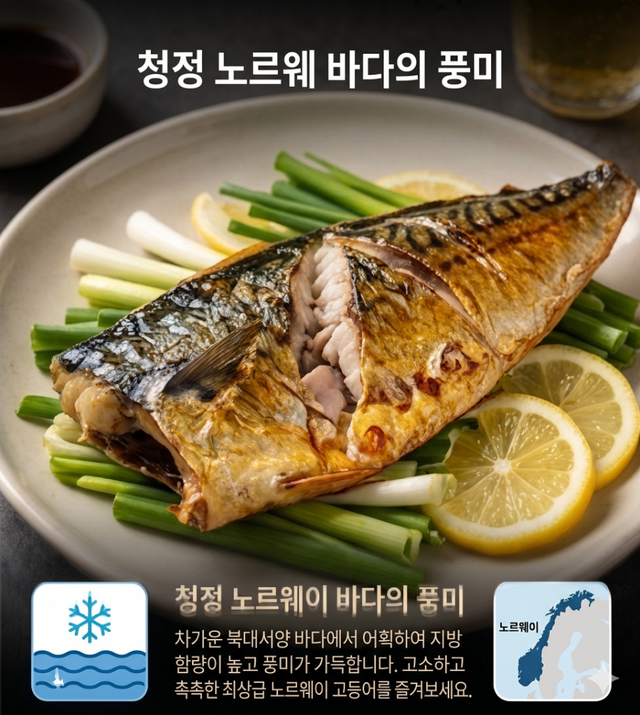 노르웨이 고등어 170 ~ 220g 10팩 개별 진공포장