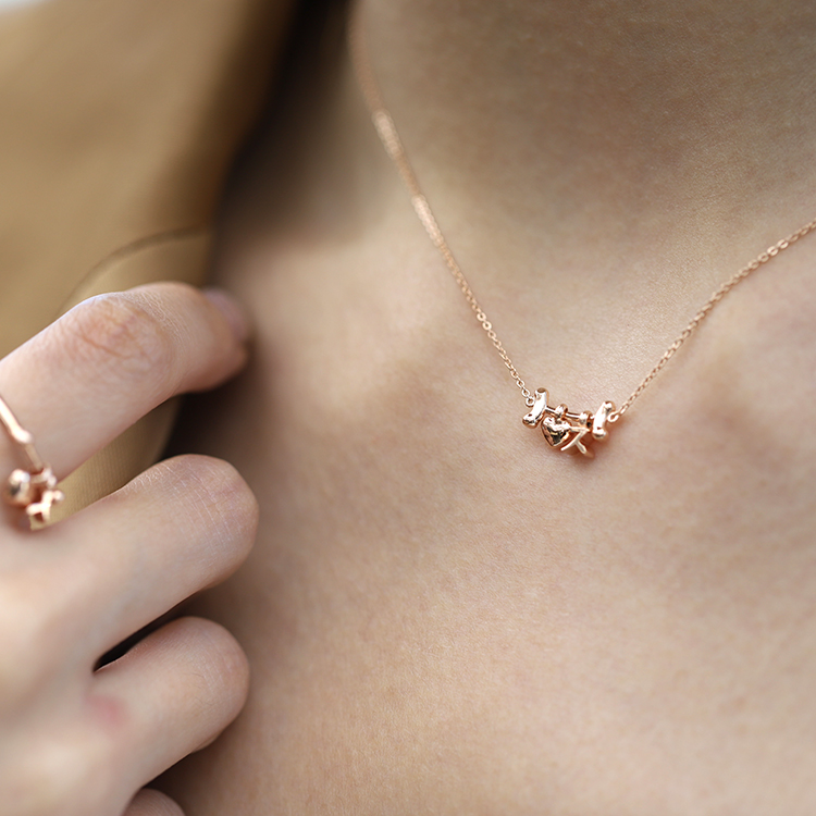 Bowl Necklace_ 2charms